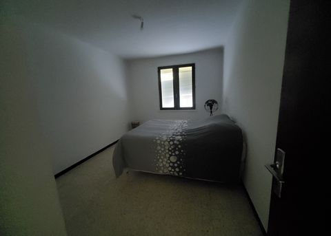 photo no. 9