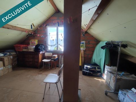 photo no. 11