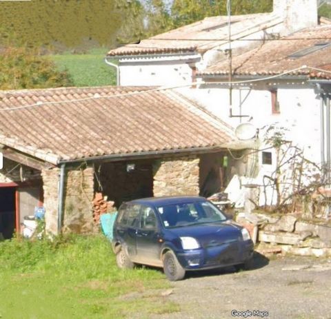 photo no. 1