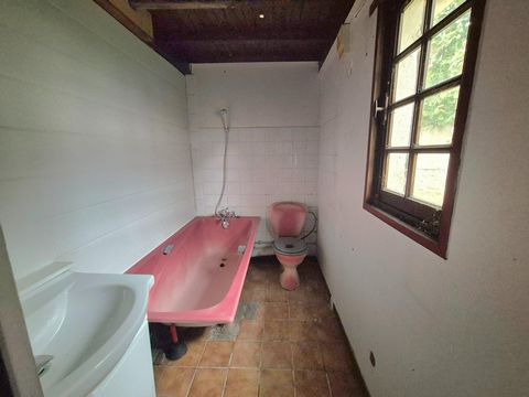 photo no. 4