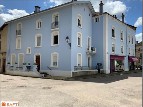 Immeuble de rapport 11 appartements meublés + locaux commerciaux et garage , bon rapport locatif