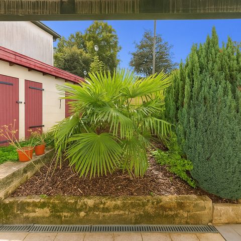 photo no. 10