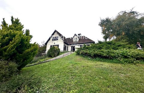 photo no. 3