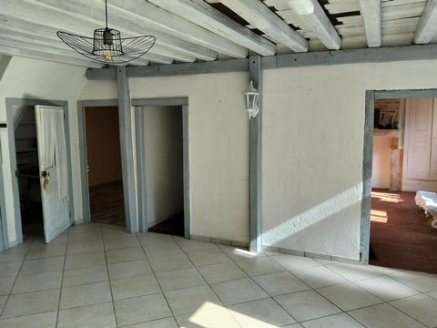 photo no. 6
