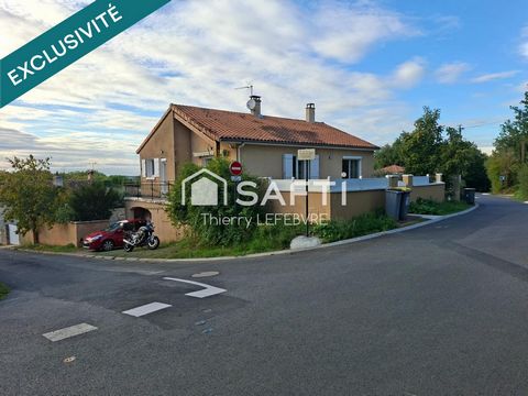 photo no. 13