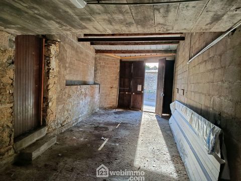photo no. 11