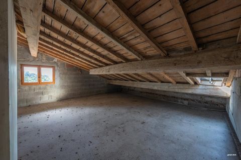 photo no. 12