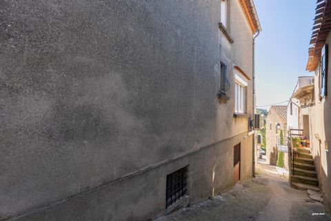 photo no. 14