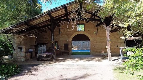 photo no. 15