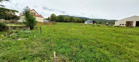 Beau terrain plat constructible de 4.93 ares