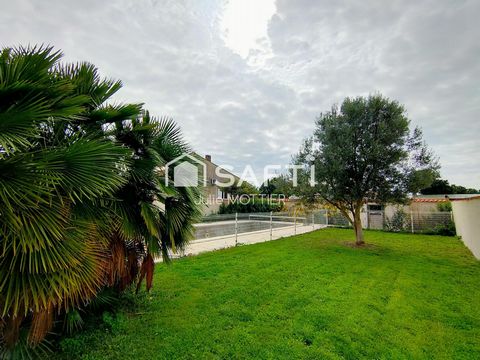 photo no. 10