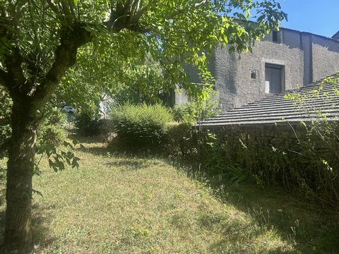 photo no. 11