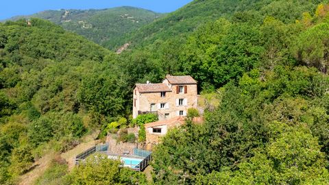 Maison de caractère + piscine + 1.7 ha terrain - VALLEE DU TARN - AVEYRON