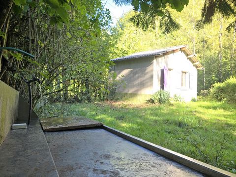 photo no. 1