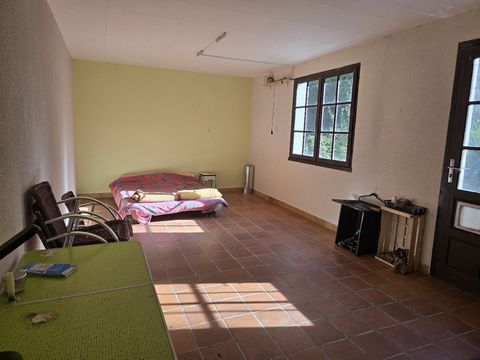 photo no. 3