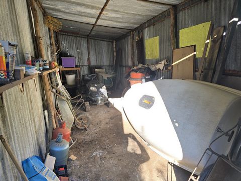 photo no. 6