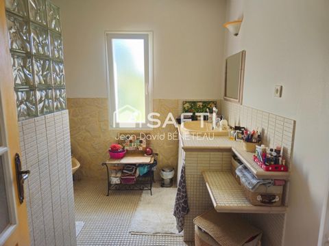 photo no. 7