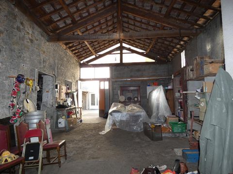 photo no. 4