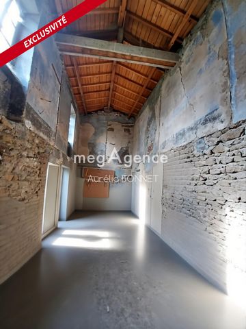 photo no. 9