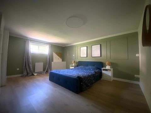 photo no. 11