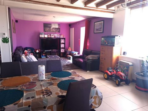 photo no. 9