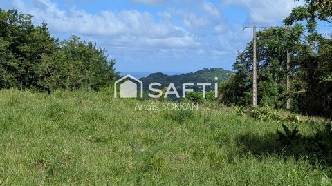Terrain plat avec vue mer