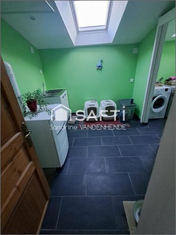 photo no. 11
