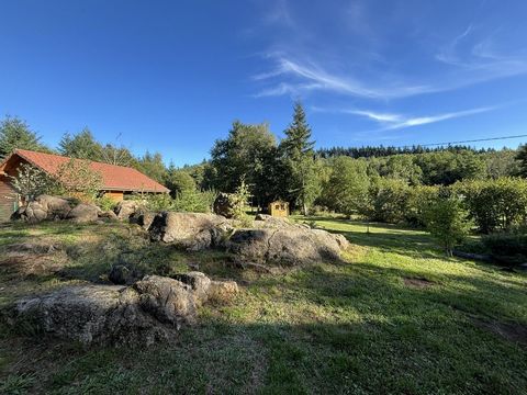 Chalet en plein cœur de la montagne Bourbonnaise