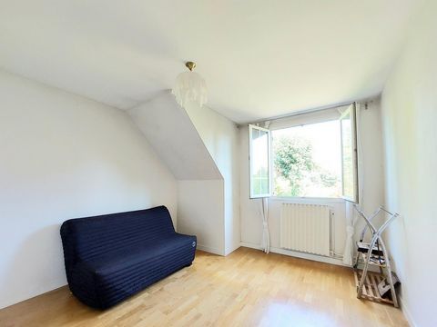 photo no. 6