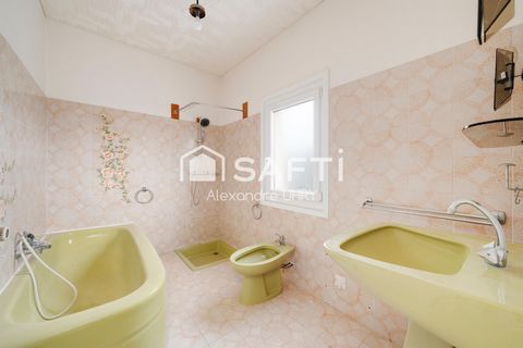 photo no. 11