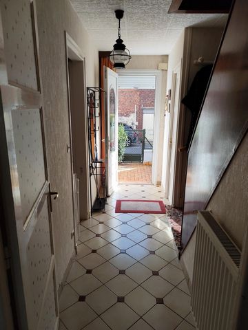 photo no. 8