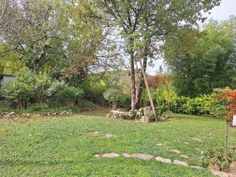 photo no. 11