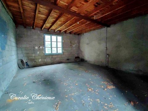 photo no. 10