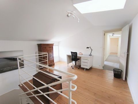 photo no. 8