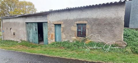 photo no. 16