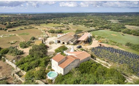 Peaceful rustic finca of 67ha in an idyllic location with agricultural exploitation consisting of old house, stables, stables and other scattered constructions totaling approximately 1,000 m². It has electricity from the network and its own water wel...