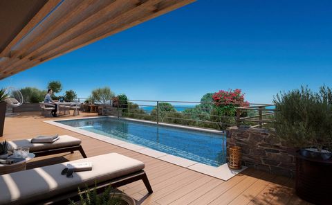 Summary Villas Vermeil is a residence of luxury two and three bedroom villas with sea views and private pools, in a peaceful wooded park, surrounded by nature, close to the beach and town. They come with a garage, large wooden terraces from which to ...