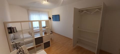 nettes 1Zimmer Apartment in Würzburg inklusive Stellplatz, Doppelbett 160cm x 200cm, TV und Internett