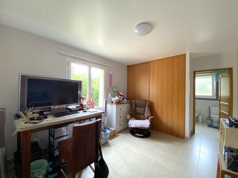 photo no. 11