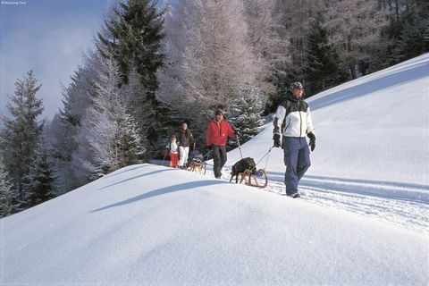 La posizione centrale lo rende un appartamento ideale per gli amanti degli sport invernali che desiderano anche i comfort di una città nelle vicinanze! Le strade sono facili da raggiungere e l'accogliente e alla moda Kitzbühel si trova a pochi passi....