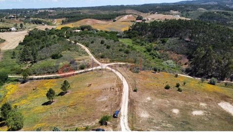 Rustikales Grundstück mit 4,32500 ha in Ameixeira, Gemeinde Aljezur Dieses Grundstück befindet sich in einer sehr ruhigen Gegend, 1,5 km von Carrascalinho, 5,5 km von Rogil und 5 km von Aljezur entfernt. Das Land besteht aus Acker- und Weideland und ...