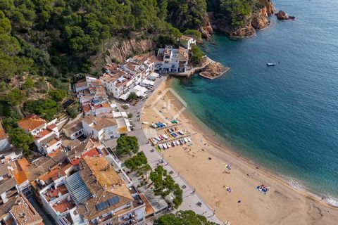 This charming 8-bedroom hotel is located just 20 metres from the beautiful beach of Tamariu, on the Costa Brava. This is an ideal hotel for guests seeking tranquillity and comfort. It also has its own restaurant, so that it can offer a unique dining ...