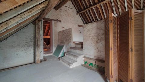 photo no. 12