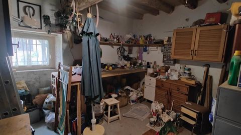 photo no. 14