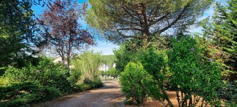 photo no. 15