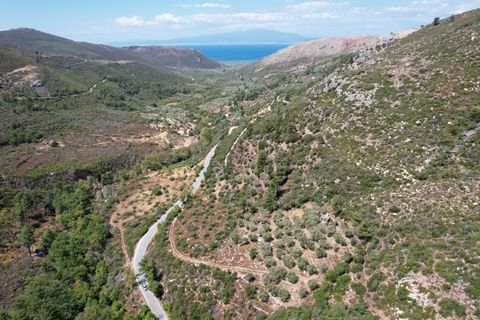 Property Code. 11394 - Agricultural FOR SALE in Thasos Ormos Prinou for € 46.000 . Discover the features of this 4592 sq. m. Agricultural: Distance from sea 4000 meters, facade length: 46 meters, depth: 53 meters The office of Thassos Realestate is l...