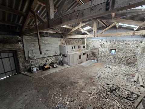 photo no. 15