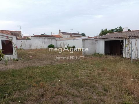 photo no. 10