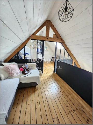 photo no. 8