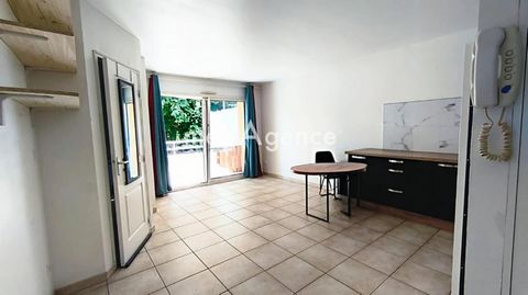 photo no. 2